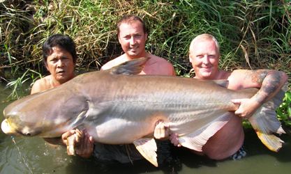 Record Catfish Fishing in Thailand