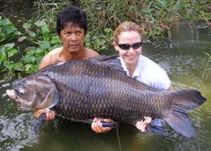 Carp fishing in Thailand - largest carp ever landed by a female angler