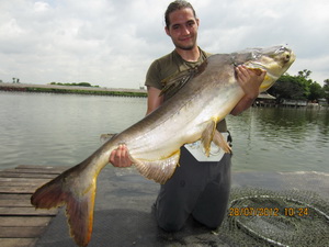 Fishing in Bangkok for catfish