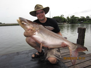 fishing for Mekong catfish in Bangkok