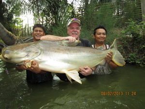 Mekong catfish fishing in Bangkok