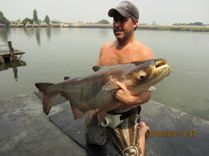 Mekong catfish fishing Thailand