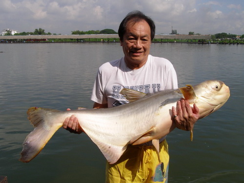 guided fishing trips in Bangkok