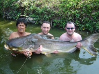110lb Mekong giant catfish from Bungsamran Lake in Bangkok