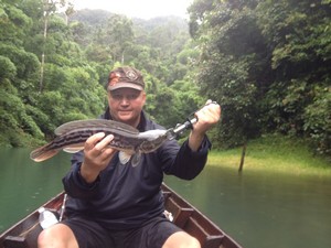 snakehead fishing thailand