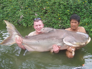 150lb Mekong catfish caught fishing in Thailand