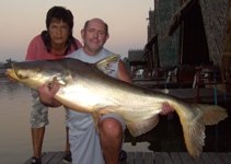 39kg Mekong Giant Catfish 