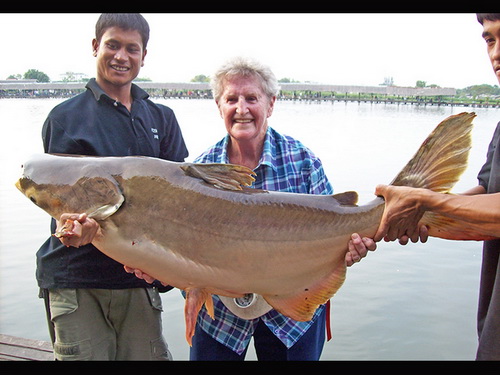 Elaine Miller - 88 years old - catches a 22kg Mekong catfish in Bangkok