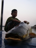 Fishing in Thailand - Land of the Giant Fish