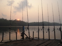 Indian Carp \ Rohu fishing in Thailand