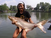 Fishing in Thailand