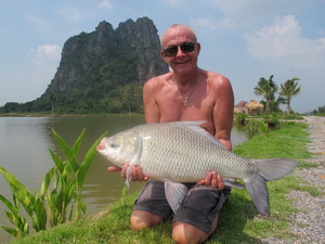 catla catla thailand fish