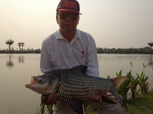 carp fishing in Thailand