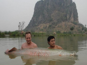 fishing for arapaima in thailand