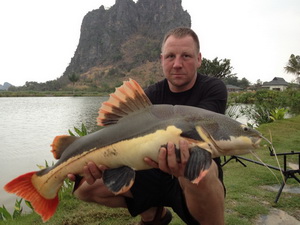 siamese giant carp fishing in thailand