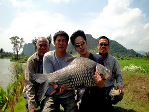 Siamese Giant Carp fsihing in Thailand