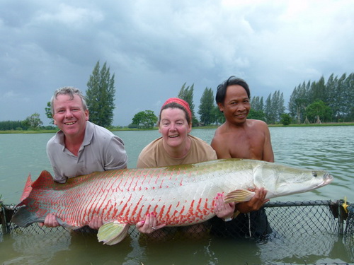 arapaima fishing in Thailand