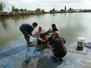 Fish Thailand Guiding Team