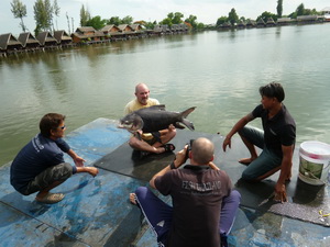 Fish Thailand Guiding Team