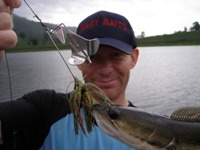 Scary Baits Lures