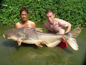 catfish fishing in Bangkok at Bungsamran Lake