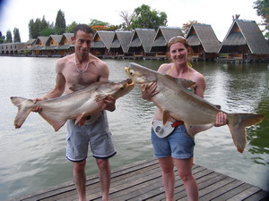 catfish fishing  Bangkok at Bungsamran Lake