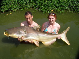 Mekong giant catfish fishing Bungsamran Lake Bangkok