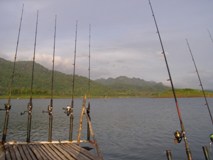 Carp Fishing Khao Laem Dam