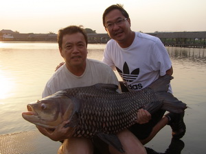 carp fishing bangkok