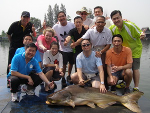 catfish fishing in thailand