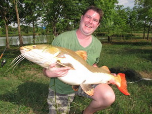 Redtail catfish fishing thailand