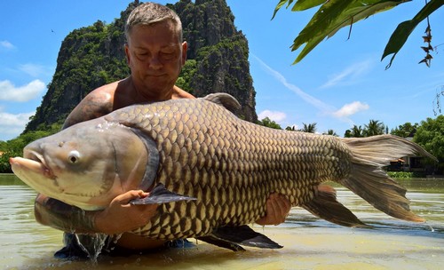 Jurassic carp fishing in Thailand