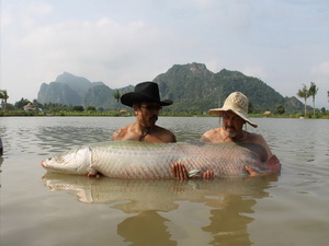 jurassic fishing thailand