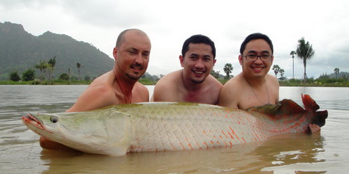 fishing in thailand for arapaima