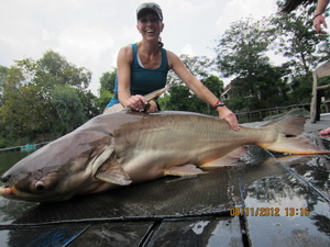 bangkok mekong catfish fishing