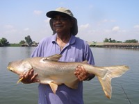 Bangkok Fishing at Bungsamran Lake Thailand