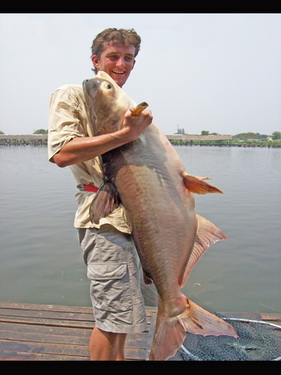 Fishing at Bungsamran Lake Bangkok - Mekong catfish