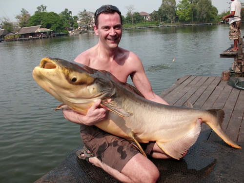 Fishing in Bangkok 100lb Mekong catfish