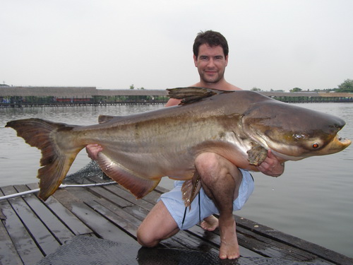 Mekong catfish fishing Bangkok