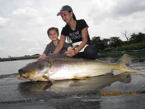 catfish fishing in Bangkok