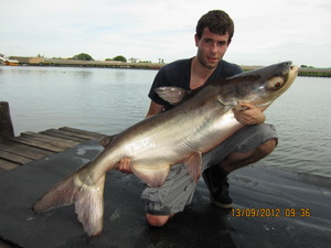 fishing Mekong catfish Thailand