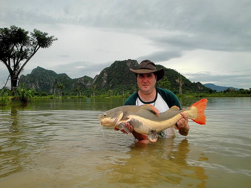 redtail catfish fishing at Jurassic Fishing Park in Thailand