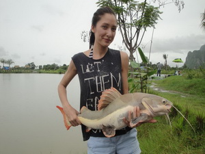 jurassic redtail catfish fishing in Thailand
