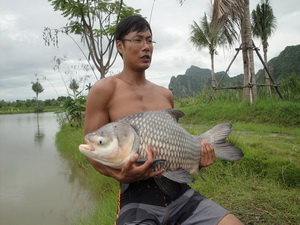 carp fishing jurassic fishing park in Thailand
