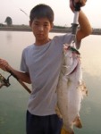 Barramundi fishing in Bangkok