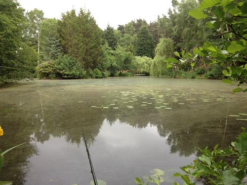 John Wilson's private lake in Norfolk