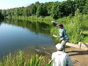 eddie mounce fishing homersfield lake england