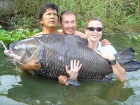 Worlds biggest carp caught by a female angler 132lb