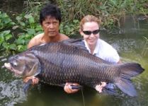 Carp fishing in Thailand at Bungsamran Lake