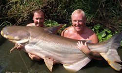 Fishing Bangkok - Mekong giant catfish